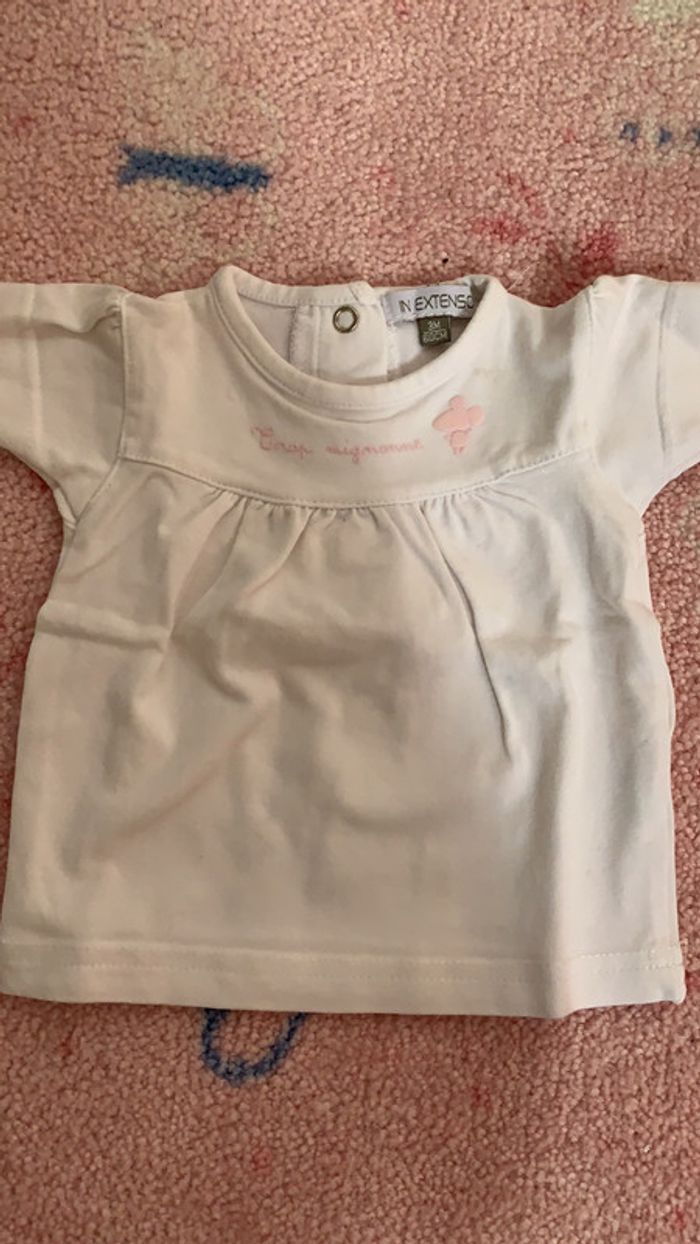 Lot de 2 teeshirt manches courtes 3 mois - photo numéro 3