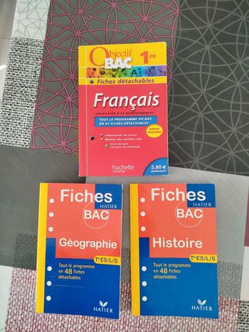 Lot de fiches Objectif Bac