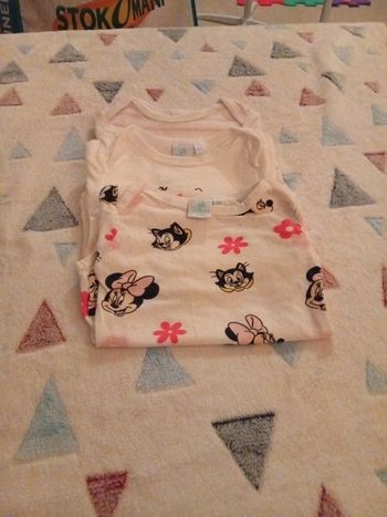 Lot 3 bodies Minnie