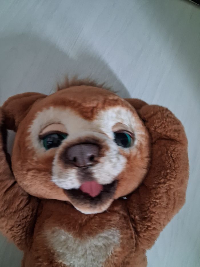 Peluche CUBBY interactive - photo numéro 6