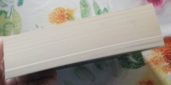 BLANC MORTEL de Robert GALBRAITH Ed. Livre de Poche - photo numéro 5