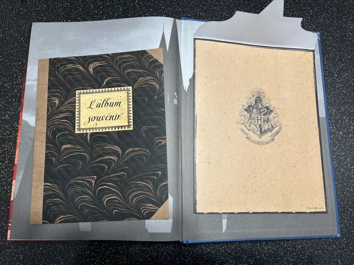 Harry Potter - des romans à l’écran - photo numéro 4