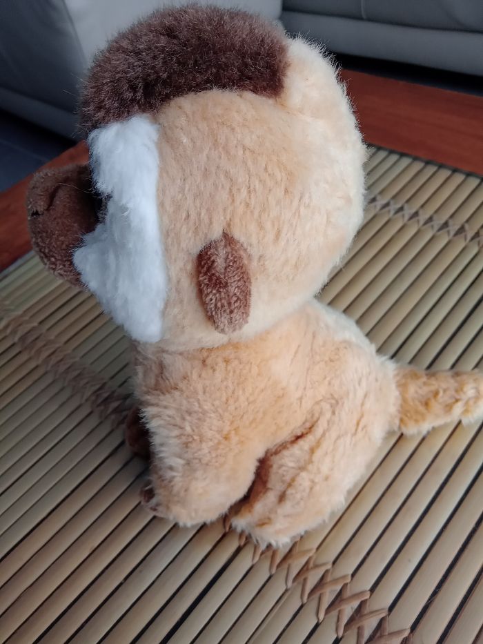 Singe - photo numéro 2