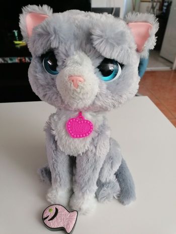 Peluche Jouet chat
