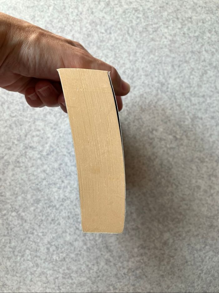 Yeruldelgger ~ Ian Manook (2€30) - photo numéro 6