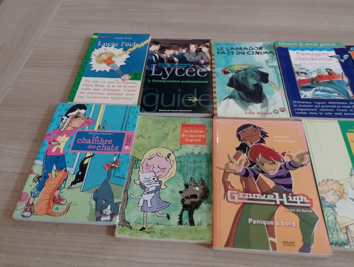 Lot de 10 livres de poches divers (17) - photo numéro 2