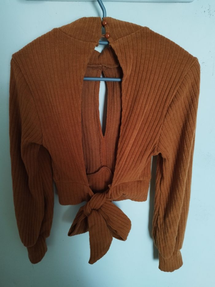 Pull dos nu - photo numéro 2