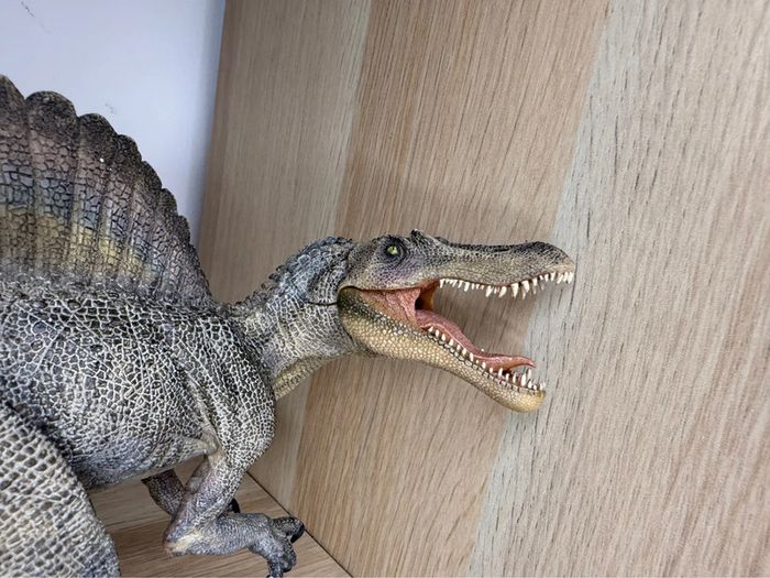 Spinosaurus papo - photo numéro 2