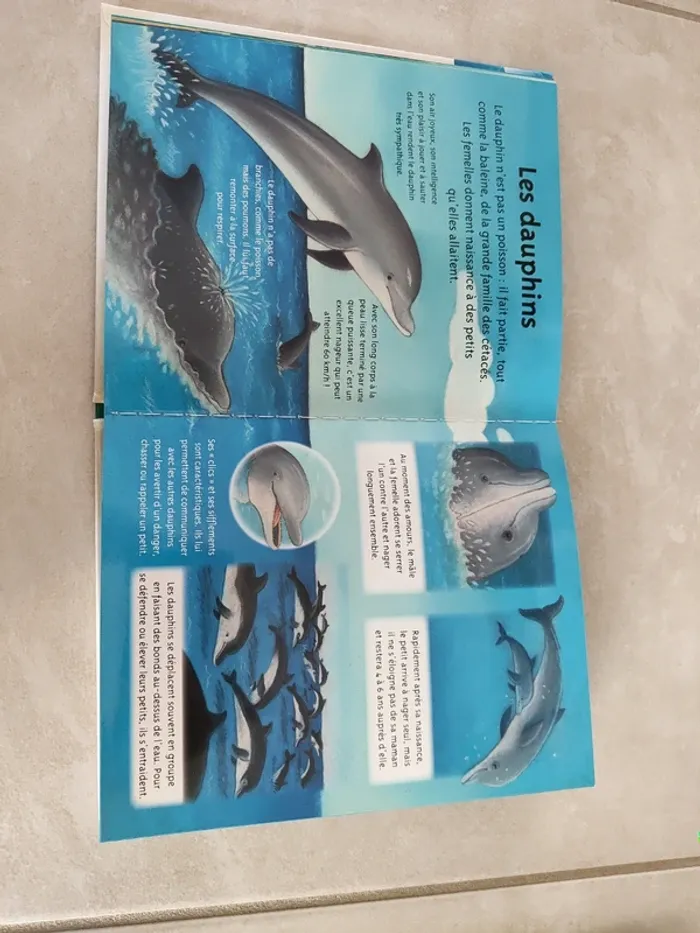 Livre Les animaux de la mer - photo numéro 5