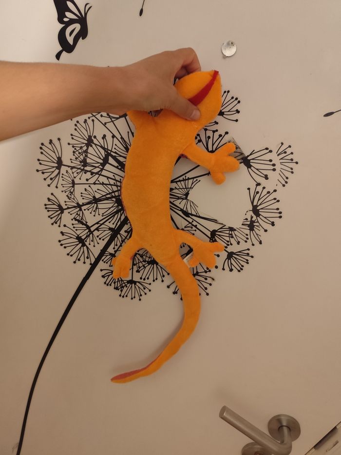 Peluche - photo numéro 3