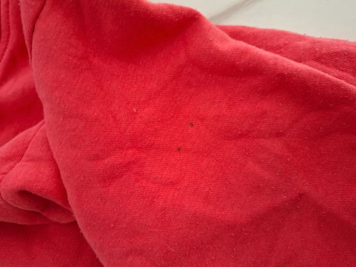 Veste 10 ans - photo numéro 5