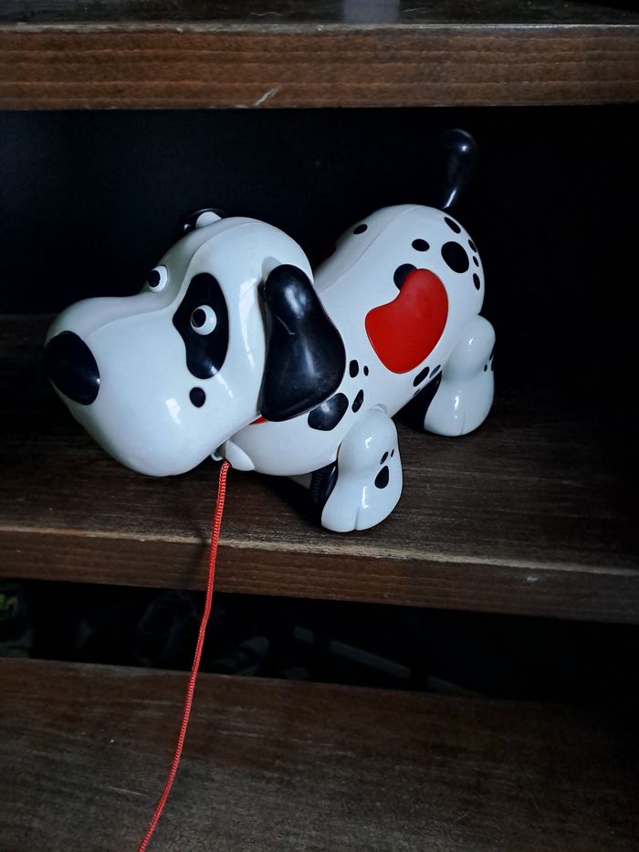 Chien a tiré avec son et lumiere - photo numéro 3