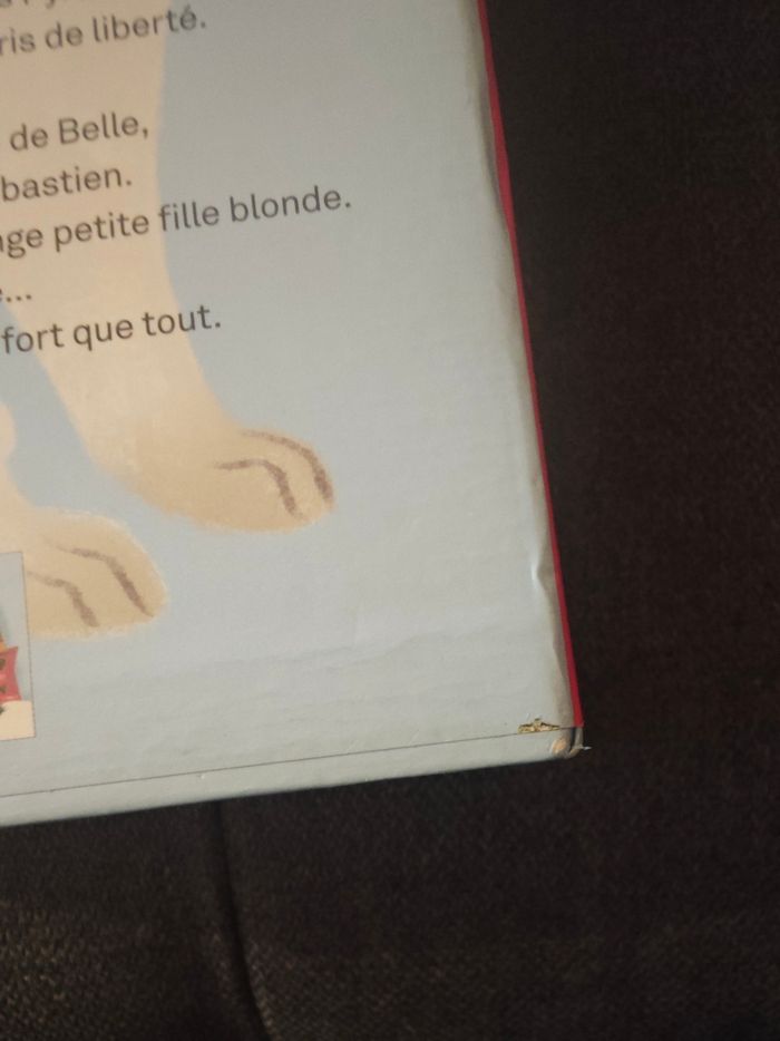 Coffret Belle et Sébastien - photo numéro 4