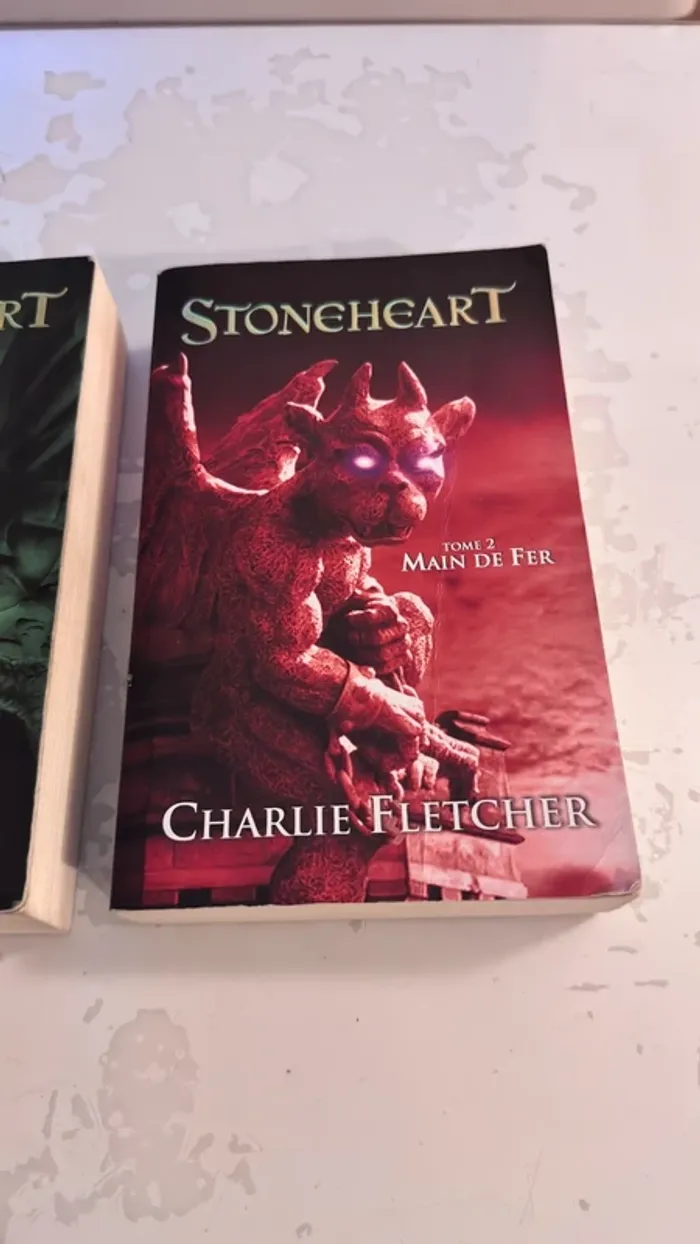📚 Lot de 2 livres – Stoneheart (Tome 1 & Tome 2 : Main de Fer)  Charlie Fletcher – Éditions Hachette - photo numéro 9