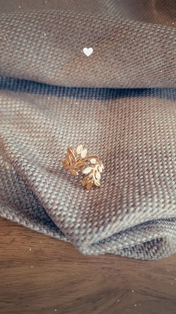 Bague acier inoxydable ajustable