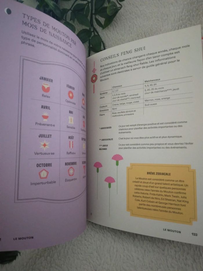 🍁Livraison a 1€ sur LBC - tigre16🍁🌸Livre sur l'astrologie Chinoise neuf🌸 - photo numéro 5