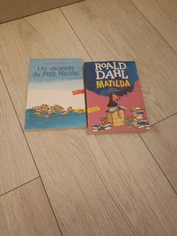 Lot livres