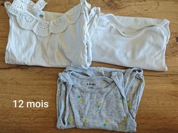 Lot 3 body manches courtes 