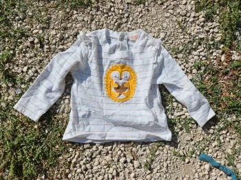 Tee shirt manche longue 9 mois