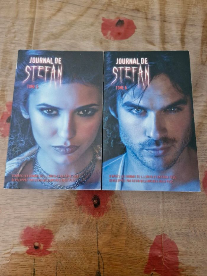 Saga Vampire Diaries 2 derniers tomes - photo numéro 2