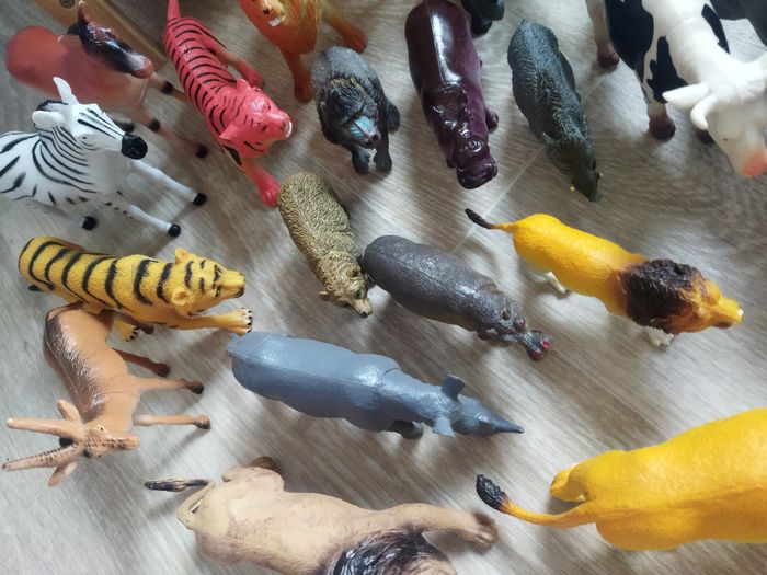 Lot animaux - photo numéro 2