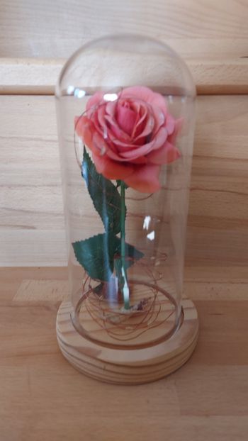 Dôme rose éternelle