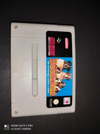 Beethoven super Nintendo