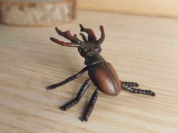 Collecta Lucarne Figurine animal insecte