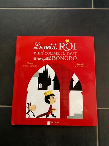 Livre le petit roi