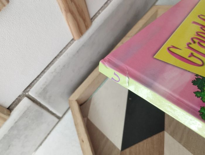 Grand galop bd tome 2 - photo numéro 3