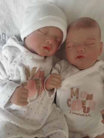 Bébé reborn jumelles