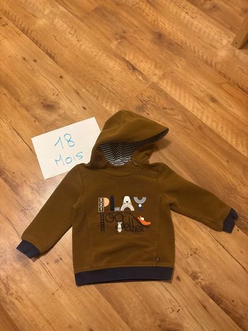 Pull capuche marron Obaibi 18 mois