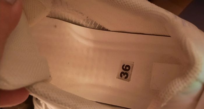 Basket - photo numéro 4