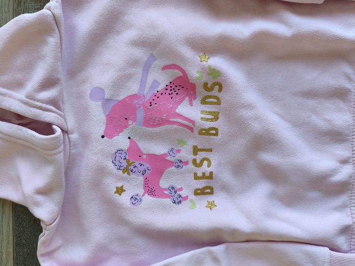 Sweat shirt à capuche - photo numéro 2