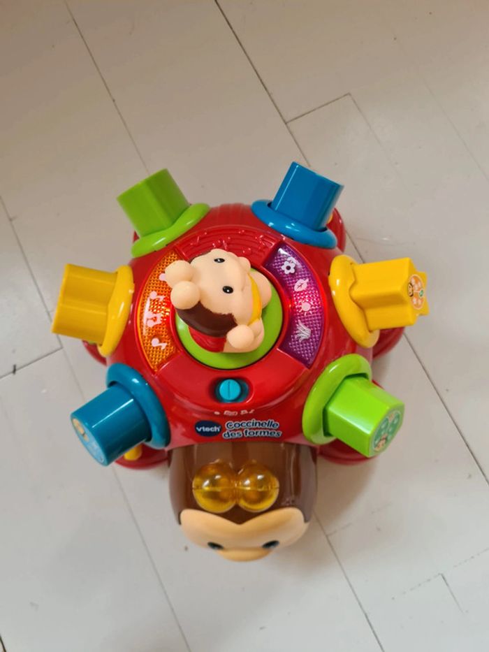 Coccinelle des formes - photo numéro 2