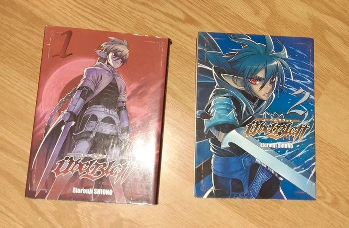 Lot livres mangas Übel Blatt tome 1 et 2