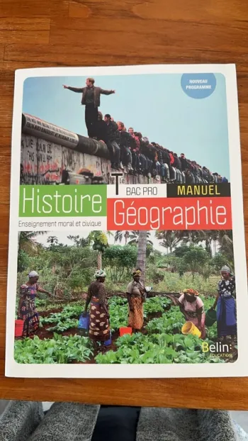 Livre histoire geo tle bac pro