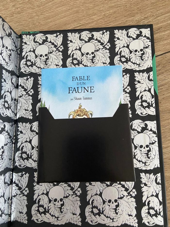 Livre lili Gothique la symphonie sinistre tome 4 - photo numéro 6