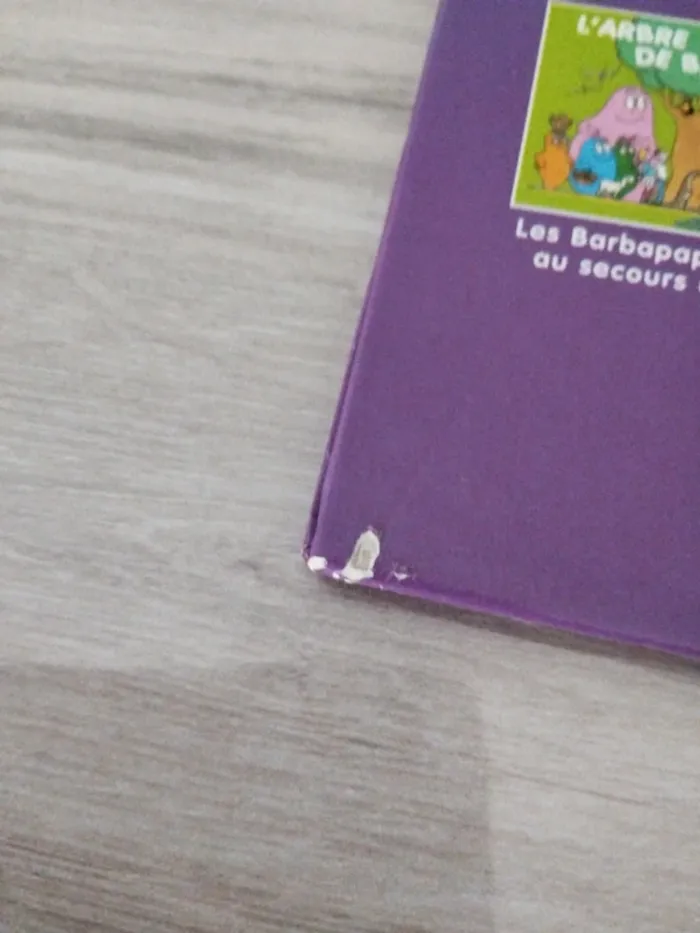 La maison de Barbapapa - photo numéro 3