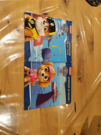 Lot de 2 livres pat patrouille