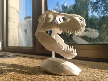 Crâne de T-Rex tyrannosaure Jurassic park