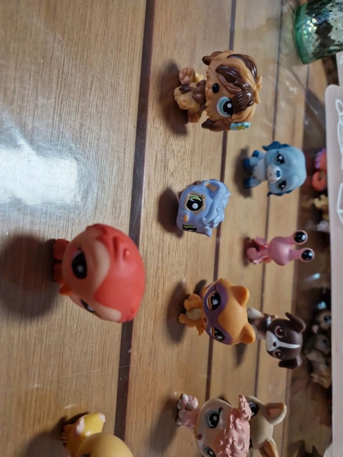 Lot Petshop (1) - photo numéro 4