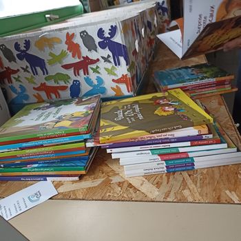 29 mac do pour morgane