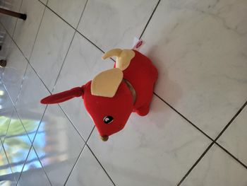 chien qui avance avec des piles