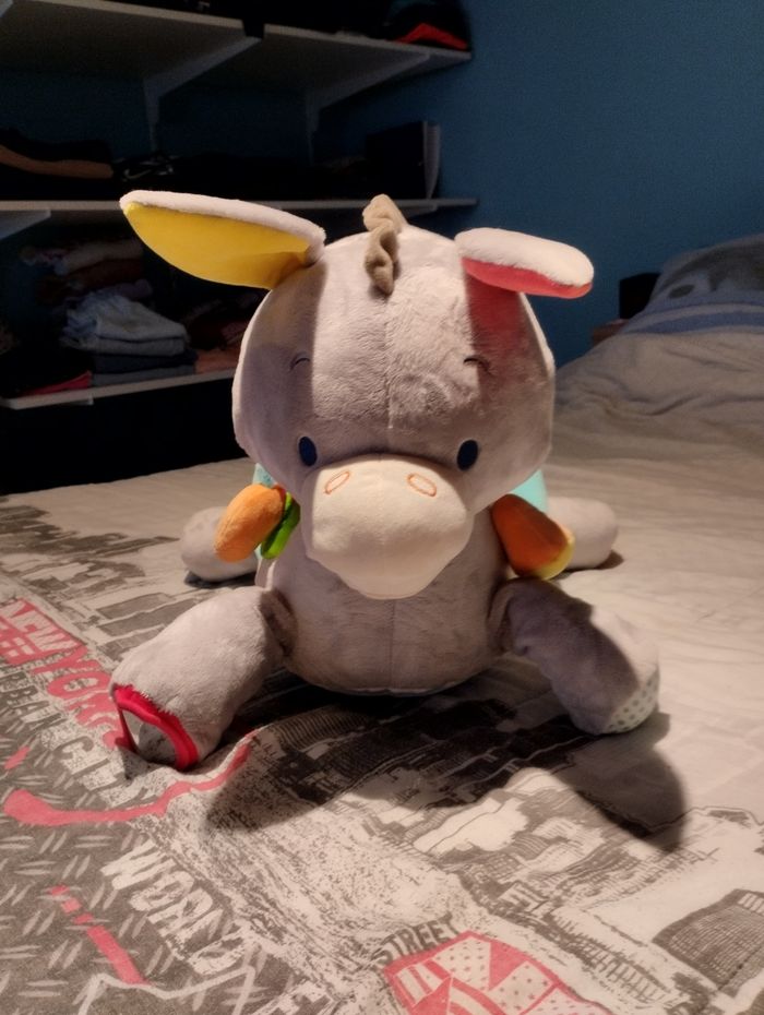 L'âne Titus multi activités - photo numéro 2