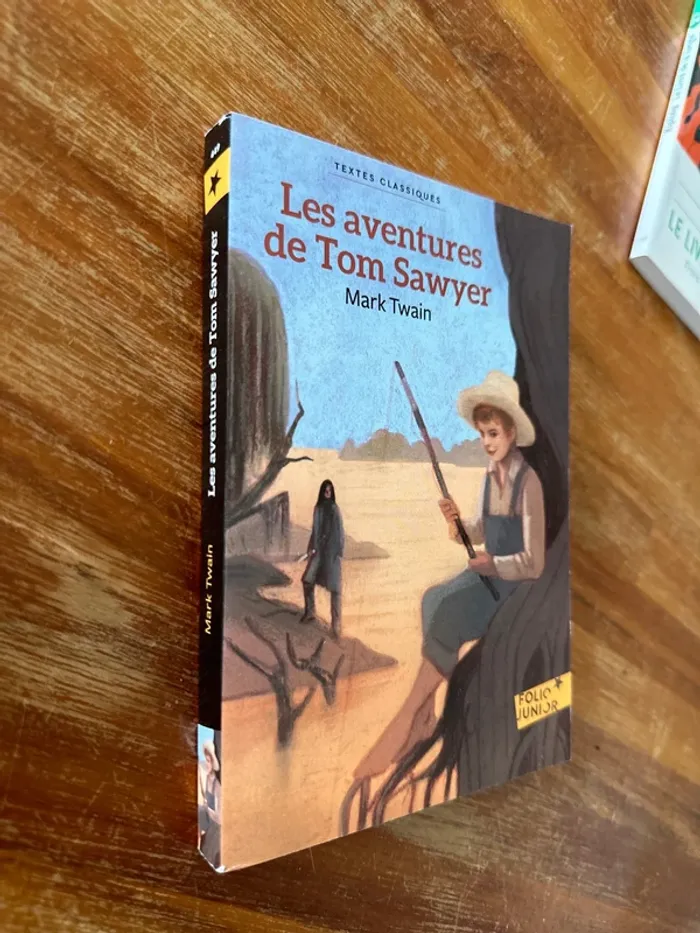 Livre les aventures de Tom Sawyer - photo numéro 2