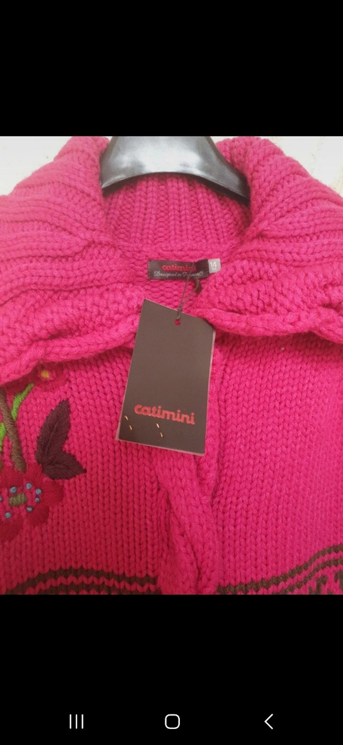 Magnifique veste - photo numéro 3