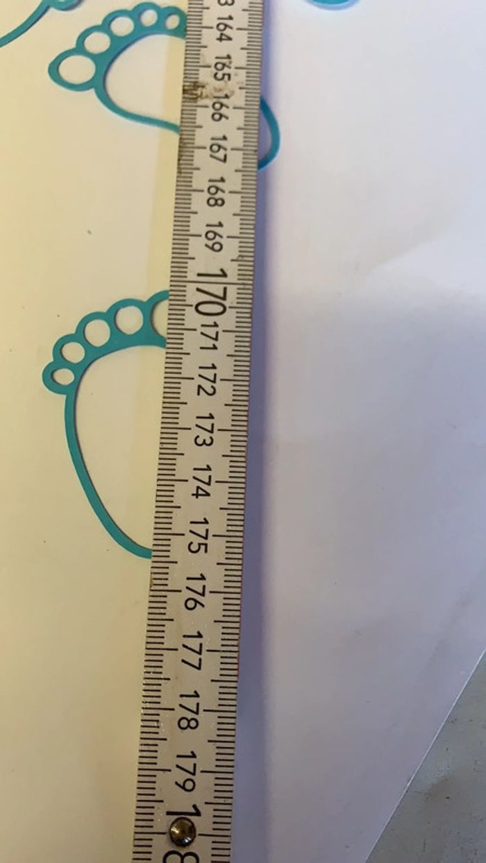 Scrapbooking 37 pieds bleus - photo numéro 2