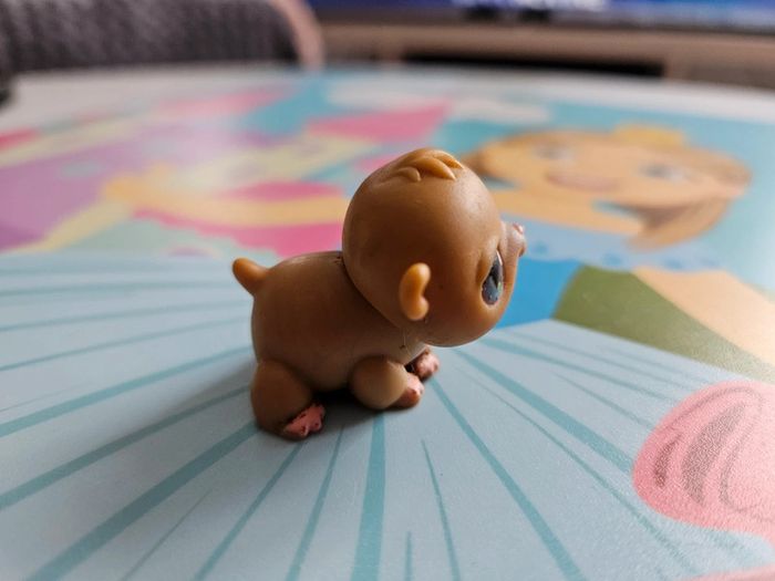 Hamster petshop - photo numéro 3