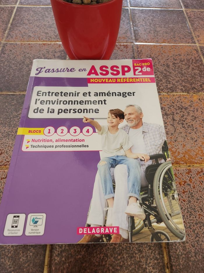 Entretenir et amenager l environnement de la personne ASSP
